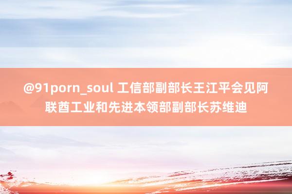 @91porn_soul 工信部副部长王江平会见阿联酋工业和先进本领部副部长苏维迪