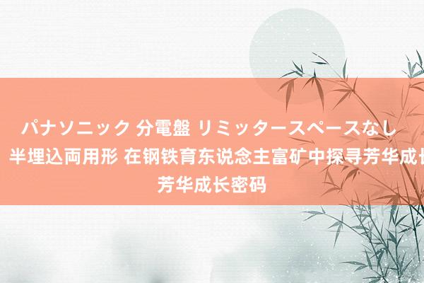 パナソニック 分電盤 リミッタースペースなし 露出・半埋込両用形 在钢铁育东说念主富矿中探寻芳华成长密码